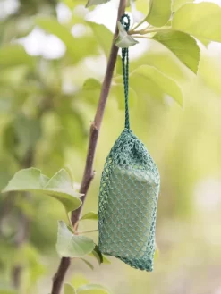 Deer No No, Set Of 6