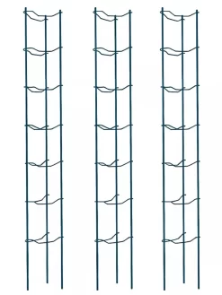 Tomato Ladders, Set Of 3 -Garden Care Shop 38184 002E psd