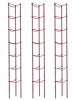 Tomato Ladders, Set Of 3 -Garden Care Shop 38185 002E psd