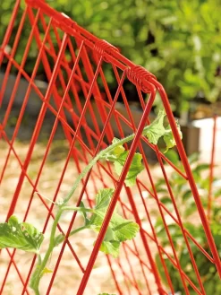 Deluxe Cucumber Trellis 10 Deluxe Cucumber Trellis -Garden Care Shop 39806 542 tif