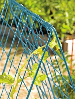 Deluxe Cucumber Trellis 12 Deluxe Cucumber Trellis -Garden Care Shop 39806 BLUE 100 tif