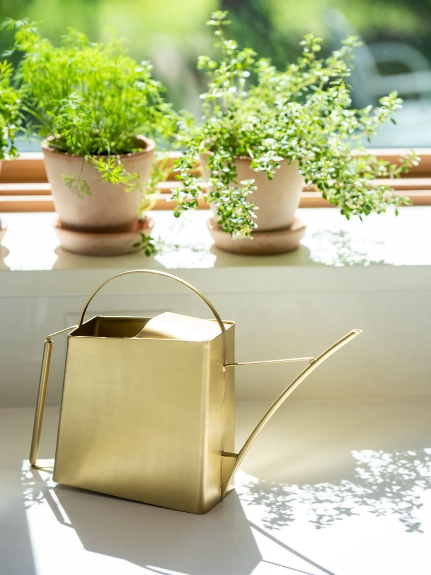 Precision Brass Watering Can