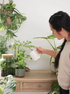 Pinpoint Indoor Watering Can -Garden Care Shop 3 4 crop 8612963 3774