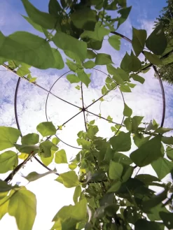 Jardin Tower -Garden Care Shop 3 4 crop 8612997 0033