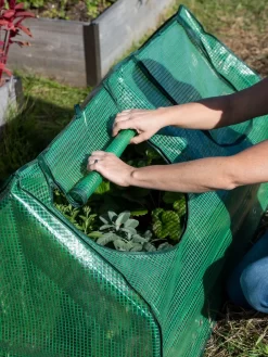 Multi Cloche -Garden Care Shop 3 4 crop 8613213 0265