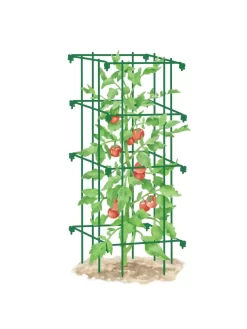 Tomato Cage, Single -Garden Care Shop 8587039 TomatoCage GRN tif