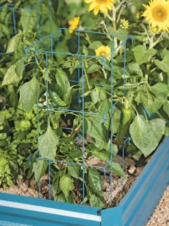 Pepper And Eggplant Cages, Set Of 3 8 Pepper And Eggplant Cages, Set Of 3 -Garden Care Shop 8587048 9792 tif