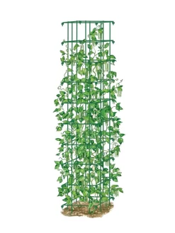 Bean Tower -Garden Care Shop 8587060 0008 GRN tif