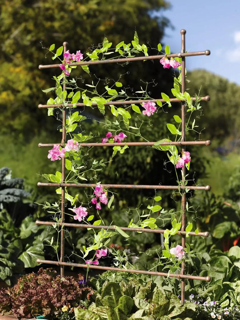 Jardin Ladder Trellis 3 Jardin Ladder Trellis - Image 3