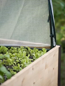 Protection Frame & Covers, 2' X 4' -Garden Care Shop 8587631 265 tif 1