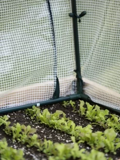 Protection Frame & Covers, 2' X 4' -Garden Care Shop 8587631 271 tif 1