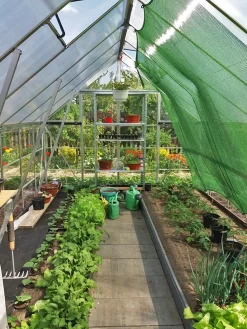 Canopia® By Palram Balance Greenhouse, 8' X 12' -Garden Care Shop 8588023 10V jpg