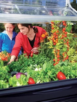 Canopia® By Palram Plant Inn™ Raised Bed Greenhouse, 4' X 4' -Garden Care Shop 8588308 03V tif