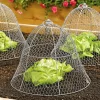 Chicken Wire Cloche