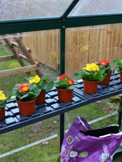 Canopia® By Palram Shelf Kit For Greenhouses, Set Of 2 Shelves -Garden Care Shop 8591033 09V jpg