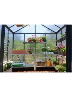 Canopia® By Palram Glory™ Greenhouse, 8' -Garden Care Shop 8591547 02v