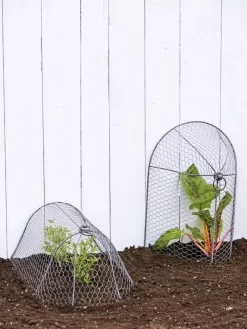 3-in-1 Chicken Wire Cloche -Garden Care Shop 8592117 0188 tif