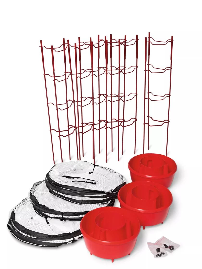 Tomato TLC Kits, Set Of 3 4 Tomato TLC Kits, Set Of 3 - Image 4