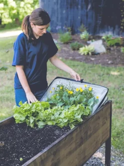 Pop-Up Crop Protector -Garden Care Shop 8596763 EasyCropProtector gif