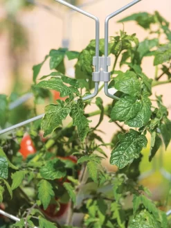 Gardener's Vertex Lifetime Tomato Cage -Garden Care Shop 8598426 0011 tif
