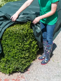 The Planket® Frost Protection Plant Cover, 10' X 20' -Garden Care Shop 8599101 0929 tif