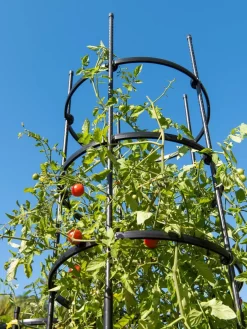 Titan Tall Tomato Cages, Set Of 3 -Garden Care Shop 8599860 0066 tif
