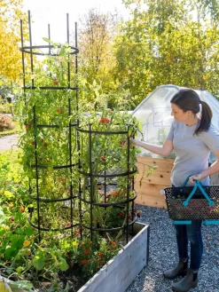 Titan Tomato Cages, Set Of 3 -Garden Care Shop 8599861 0114 tif