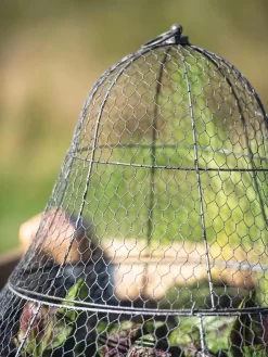 Chicken Wire Cloche With Extension -Garden Care Shop 8600116 0607 tif