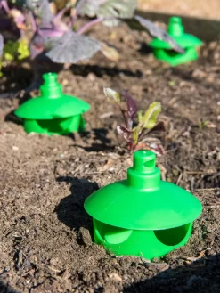 Slug And Snail Traps, Set Of 3 -Garden Care Shop 8600120 1788