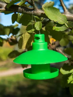 Slug And Snail Traps, Set Of 3 -Garden Care Shop 8600120 1792