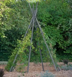 Annabel Tipi Trellis -Garden Care Shop 8600521 07V jpg