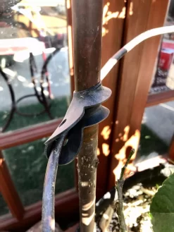 Garden Cane Connects, Set Of 6 6 Garden Cane Connects, Set Of 6 -Garden Care Shop 8609019 03V tif