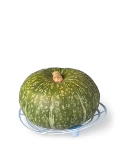 Melon And Squash Cradles, Set Of 6 6 Melon And Squash Cradles, Set Of 6 -Garden Care Shop 8609464 5204 tif