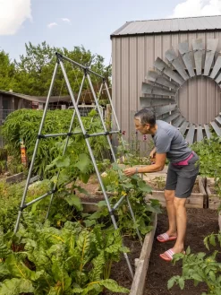 Connector Kit For DIY A Frame Plant Support 11 Connector Kit For DIY A Frame Plant Support -Garden Care Shop 8610366 7584 tif