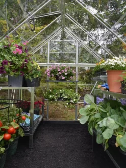Canopia® By Palram Harmony™ Greenhouse, 6' X 14' -Garden Care Shop 8610563 03V jpg