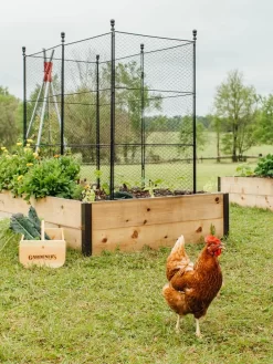 Tall Chicken Wire Critter Fence With Gate 17 Tall Chicken Wire Critter Fence With Gate -Garden Care Shop 8611020 316 tif