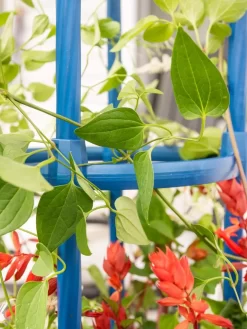 Fleur De Lis Obelisk, 67" -Garden Care Shop 8611663 0607 tif