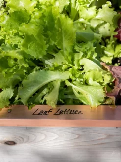 Re-Markable Raised Bed Trim -Garden Care Shop 8611757 326 tif