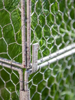 Chicken Wire Crop Coop Extension -Garden Care Shop 8611940 232 tif