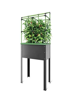 City Jungle® Heidelberg Tomato Trellis