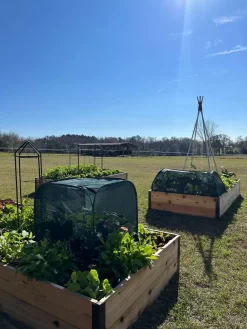 Pest Control Pop-Ups -Garden Care Shop 8611989 05 tif