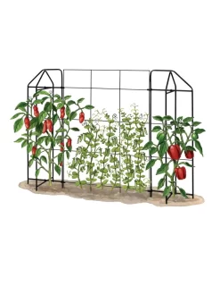 Zenith Trellis -Garden Care Shop 8612035 art tif