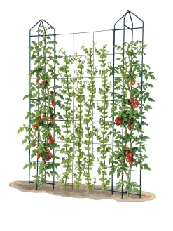 Zenith Trellis -Garden Care Shop 8612036 art tif