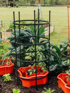 Deluxe Tomato Halos, Set Of 2 -Garden Care Shop 8612045 228 tif