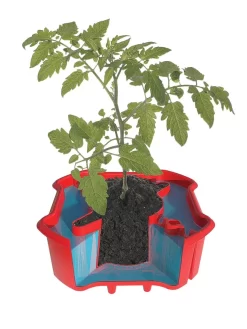 Deluxe Tomato Halos, Set Of 2 -Garden Care Shop 8612045 crosshatch tif