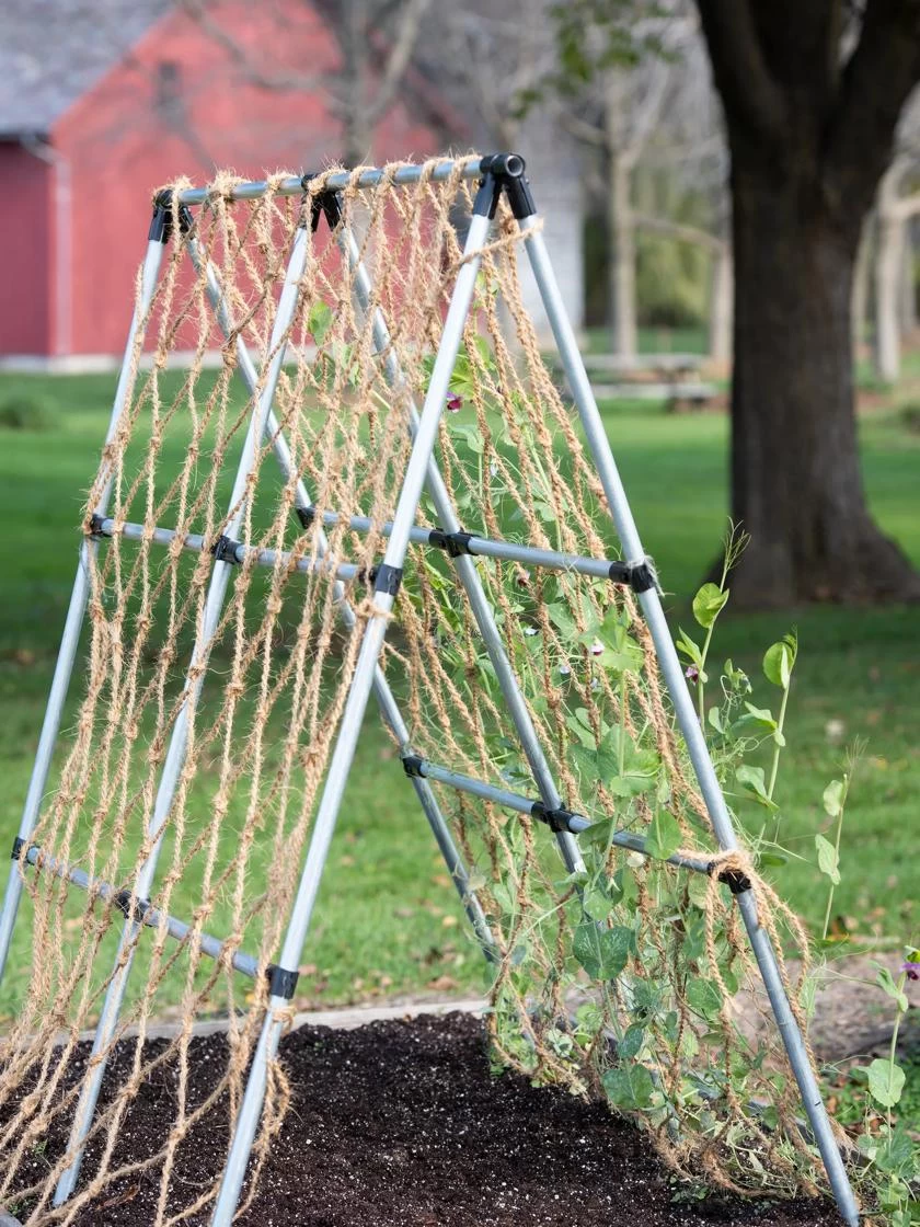 Coco Trellis Netting, 4' X 15' 4 Coco Trellis Netting, 4' X 15' - Image 4