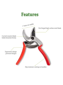 Castellari Mini Anvil Pruner -Garden Care Shop 8612199 5