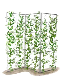 Chicken Wire Pea Trellis -Garden Care Shop 8612718 peatrellis art chicken wire pea trellis