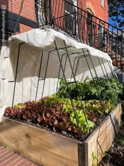 Zenith Garden Hoops, Set Of 4 -Garden Care Shop 8612816 01CUST 1