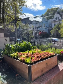 Zenith Garden Hoops, Set Of 4 -Garden Care Shop 8612816 02CUST